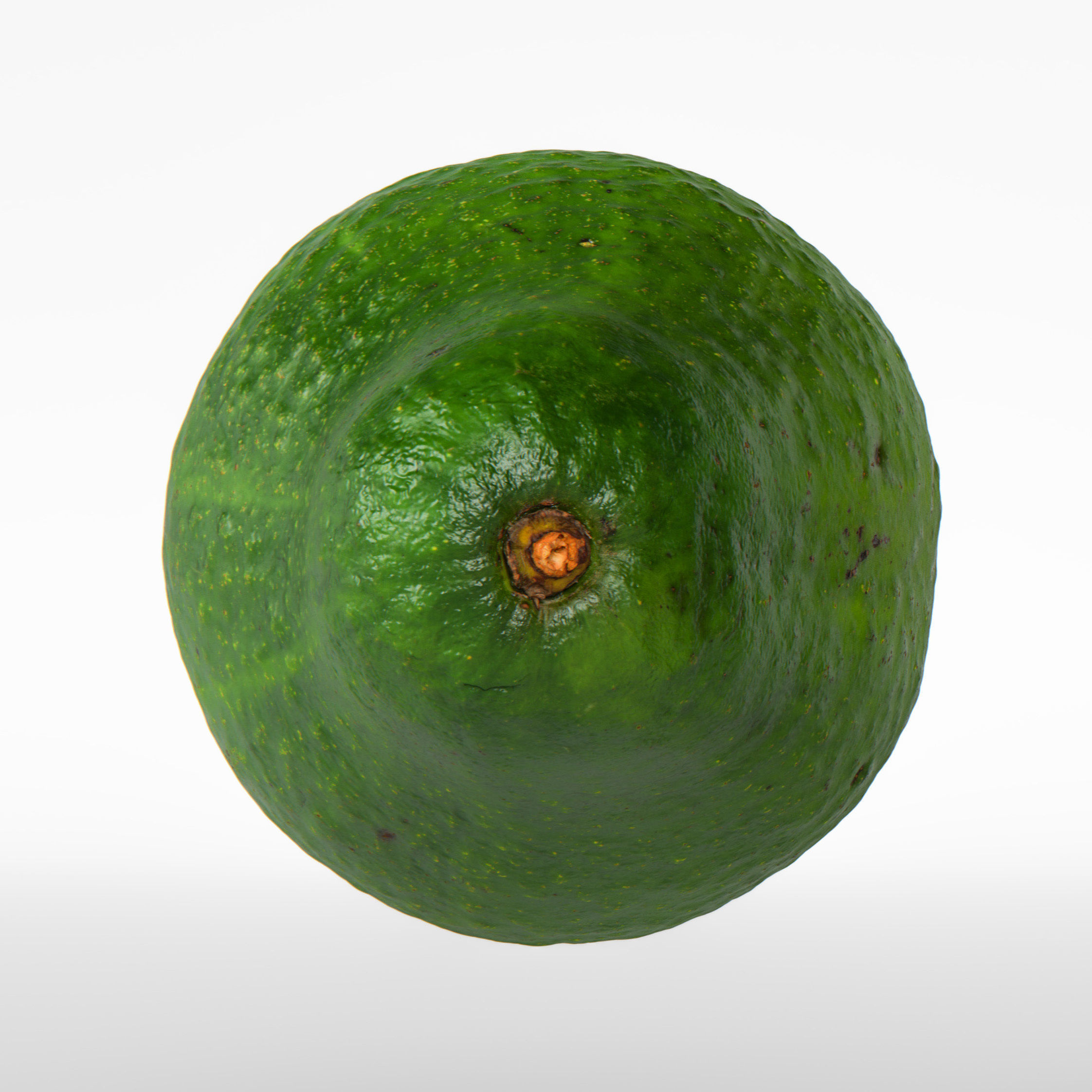 Avocado 3D model_6