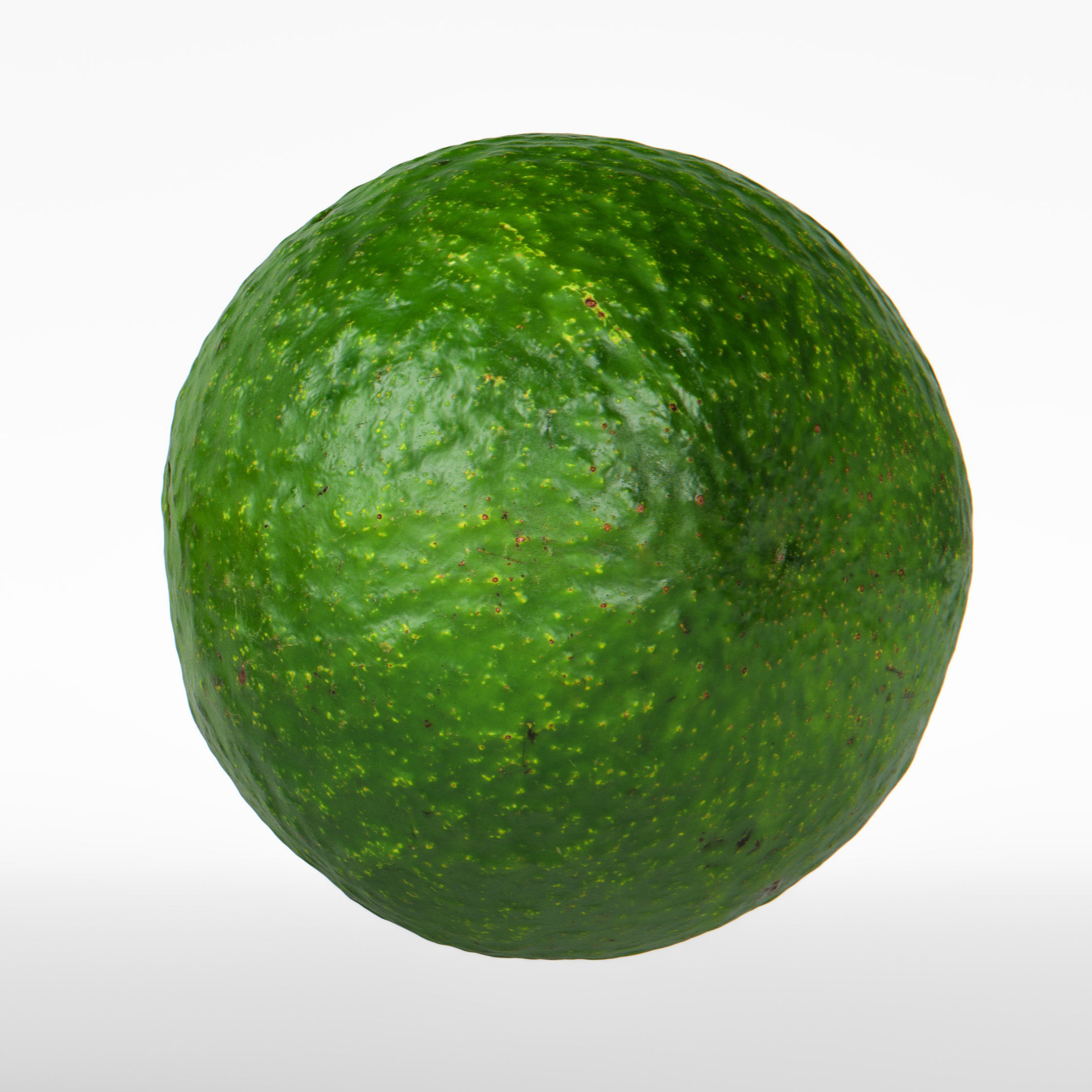 Avocado 3D model_7