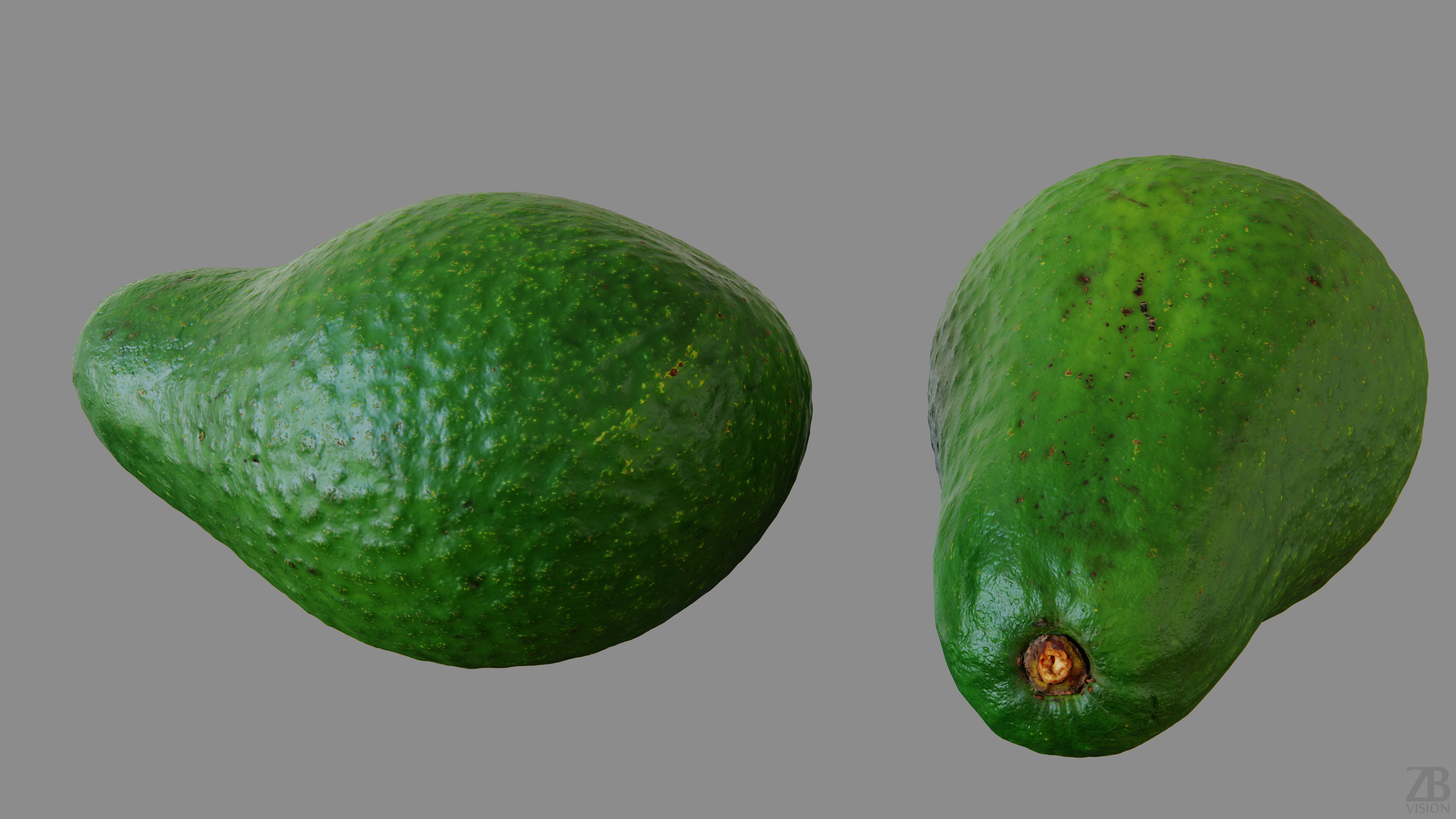Avocado 3D model_12