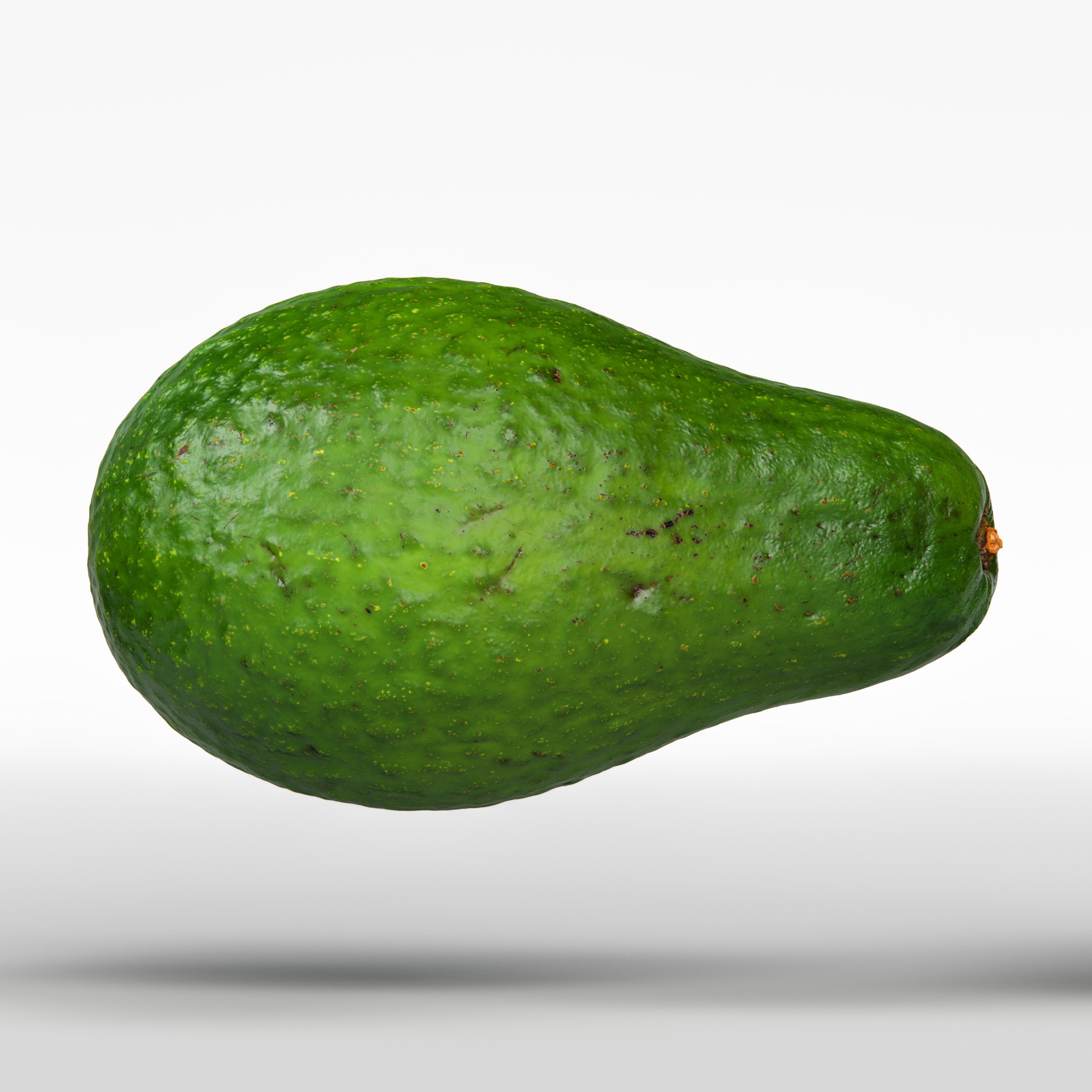Avocado 3D model_5