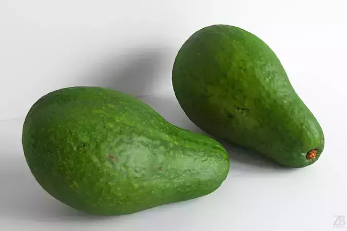 Avocado 3D model