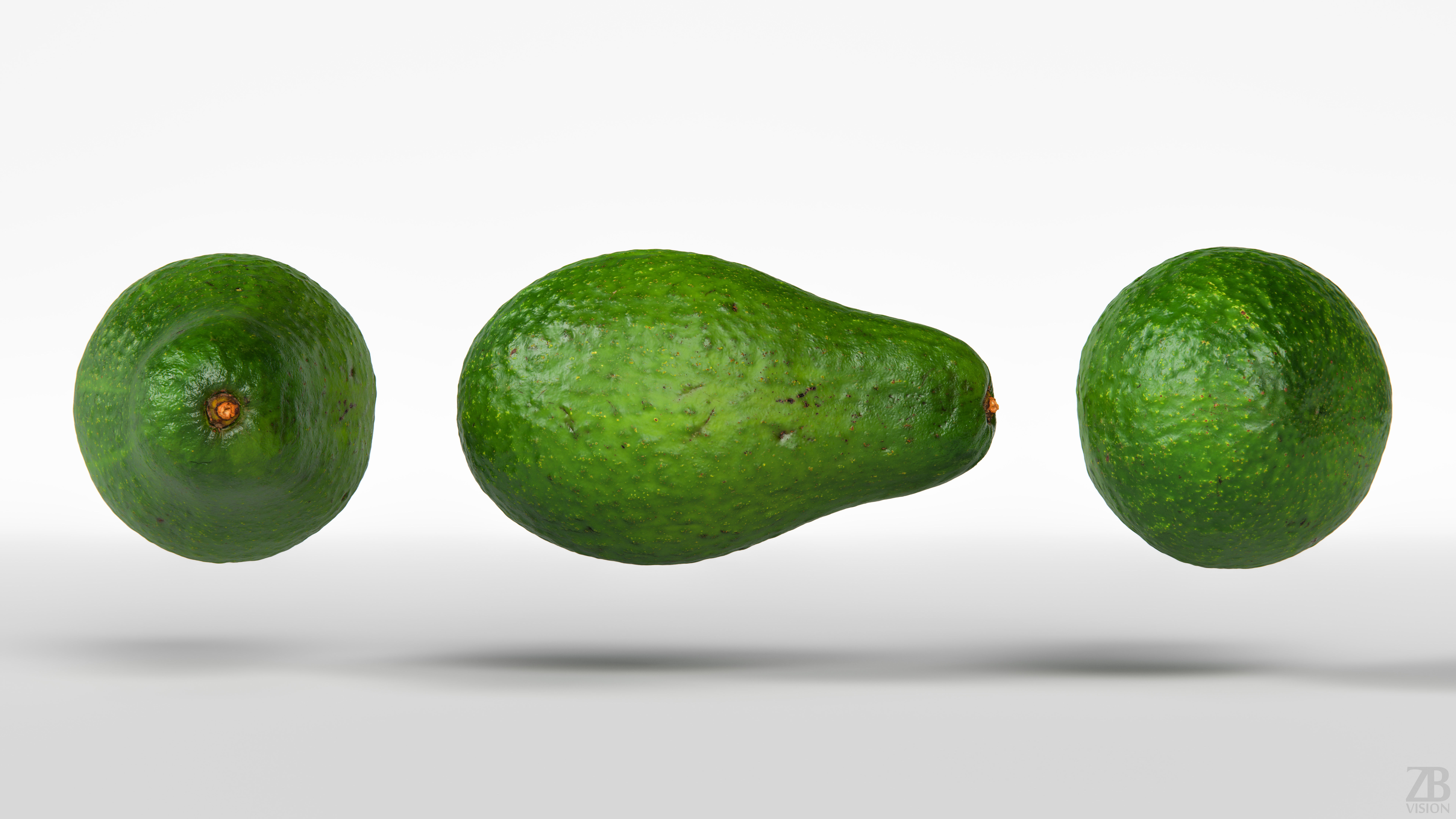 Avocado 3D model_4