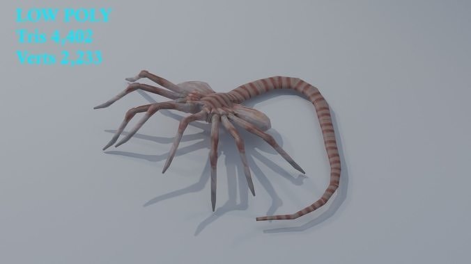 Alien Face hugger Baby Alien Low-poly 3D model