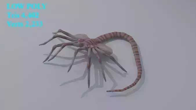 Alien Face hugger Baby Alien Low-poly 3D model
