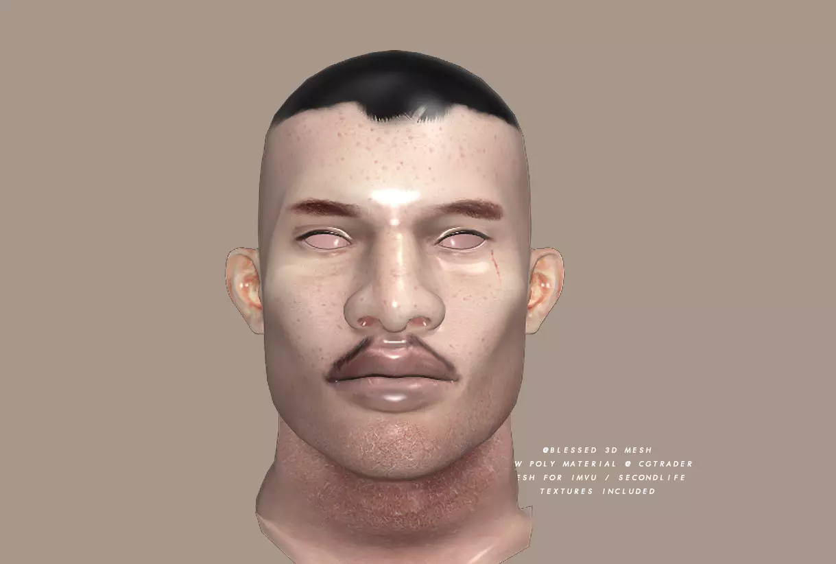 3DBlessed Christopher Mesh Head Skin and head Low-poly 3D model