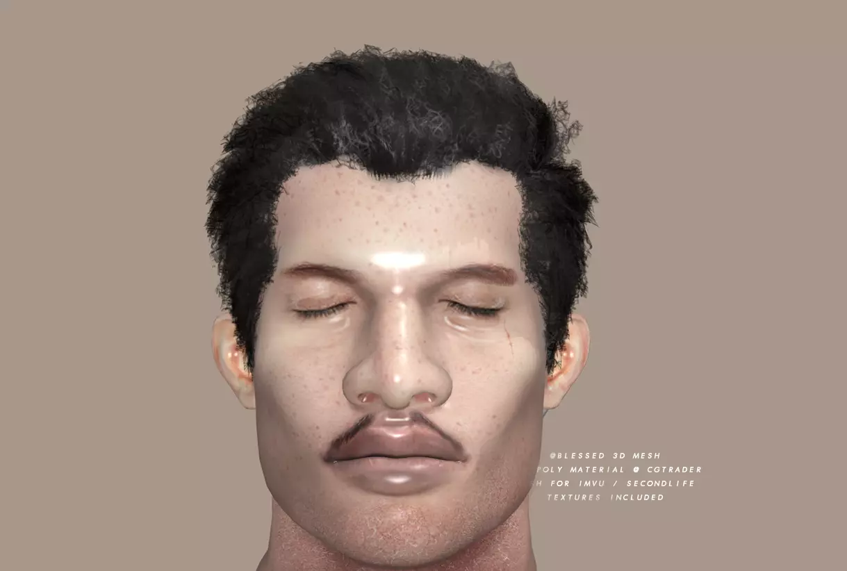 3DBlessed Christophers Mesh Hair Low-poly 3D model_0