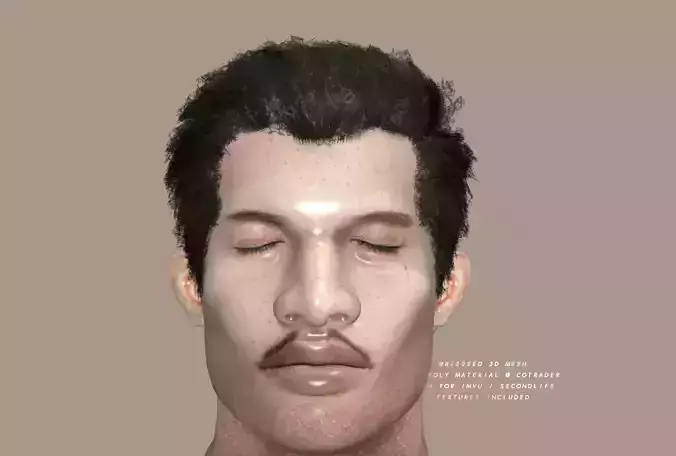 3DBlessed Christophers Mesh Hair Low-poly 3D model