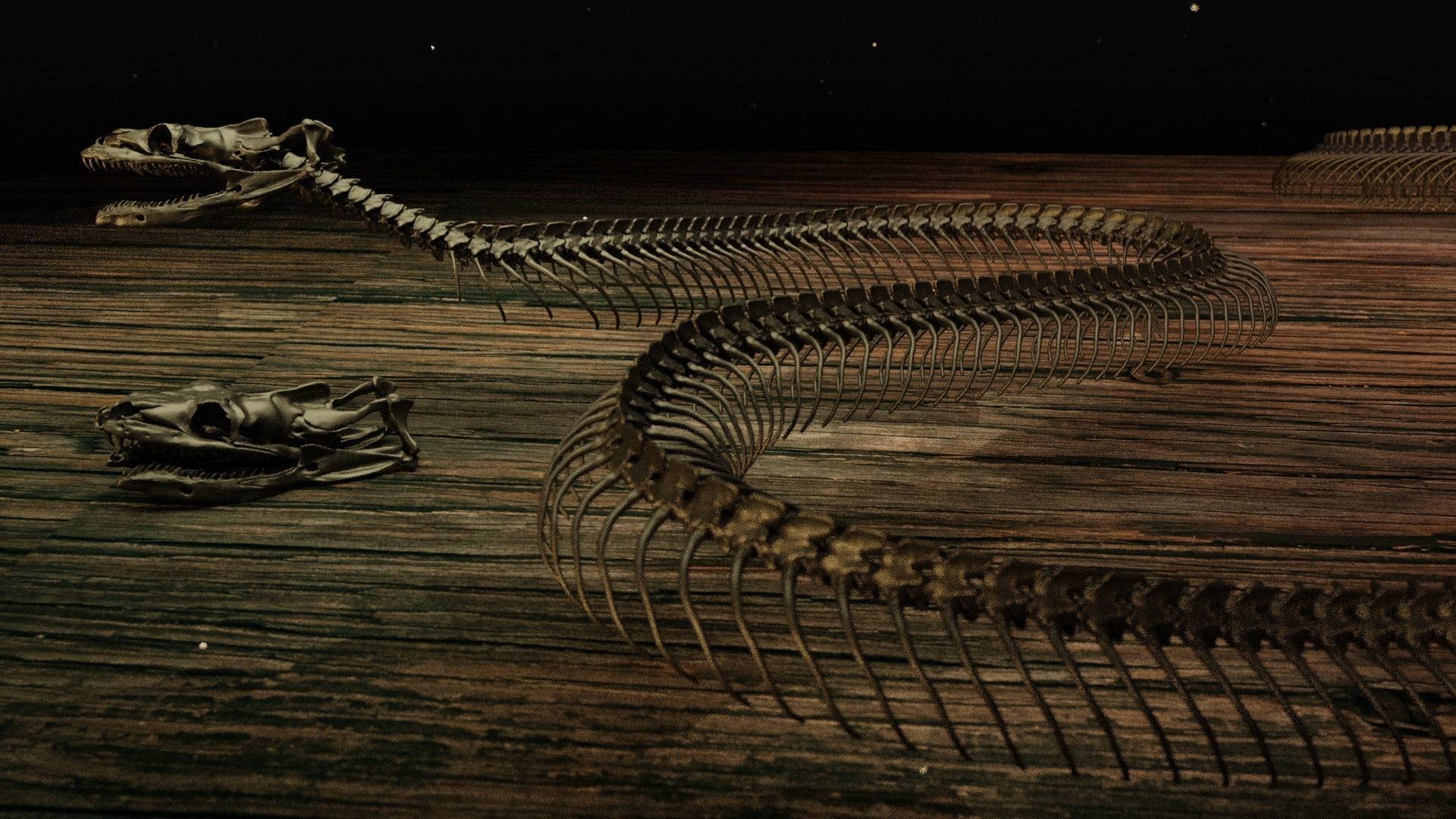 Snake Skeleton Titanoboa 3D print model_4