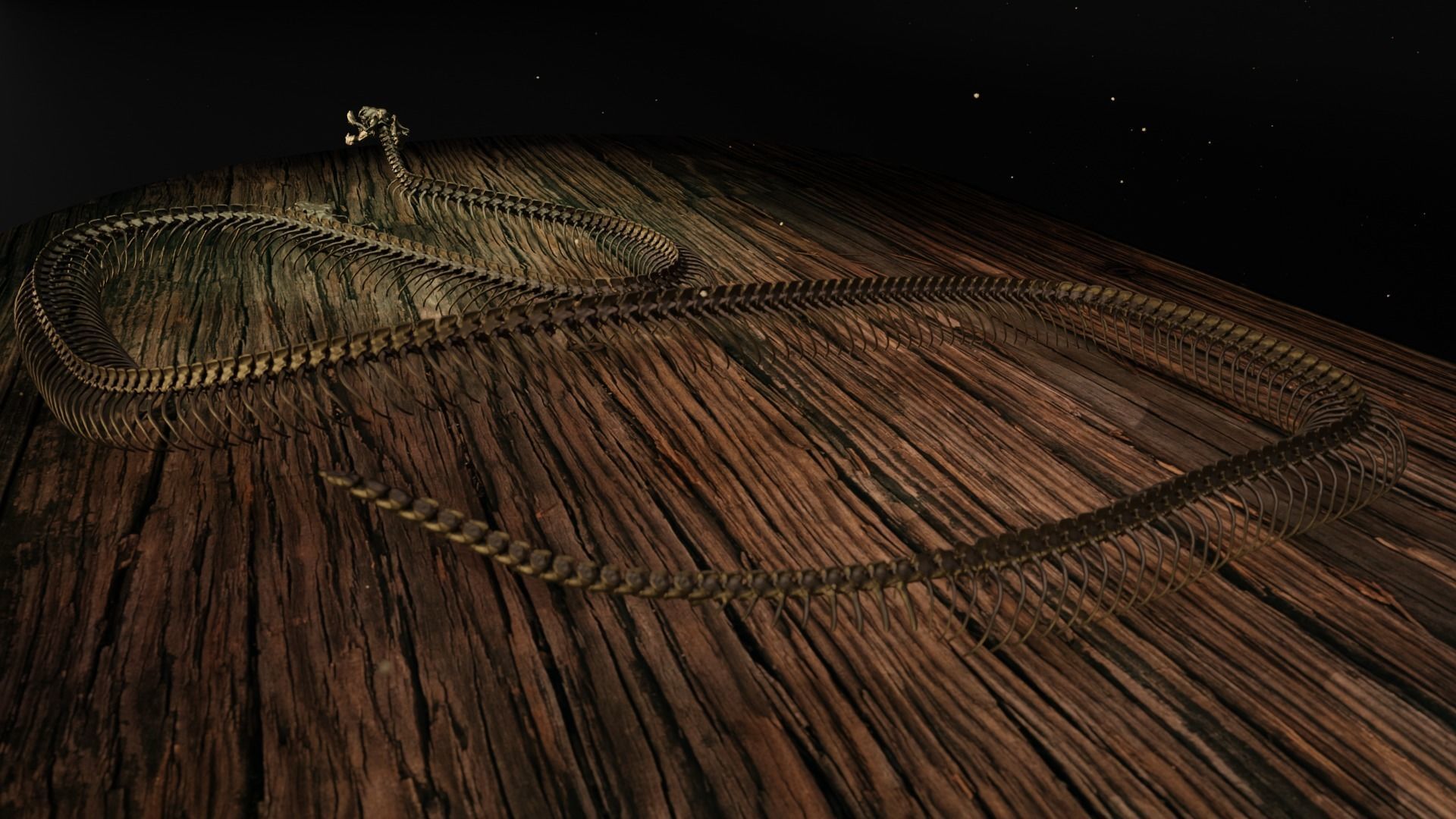 Snake Skeleton Titanoboa 3D print model_6