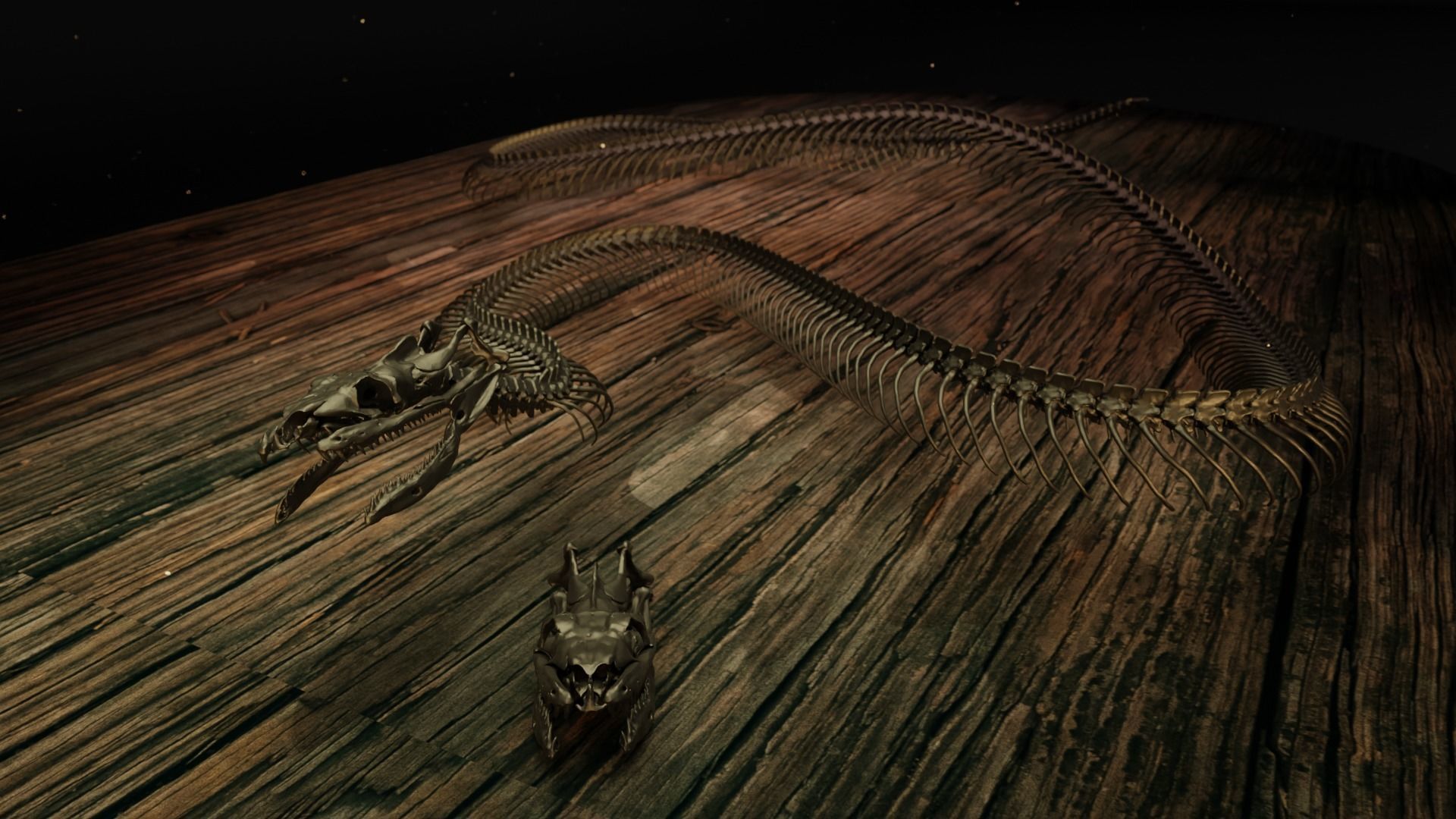 Snake Skeleton Titanoboa 3D print model_7