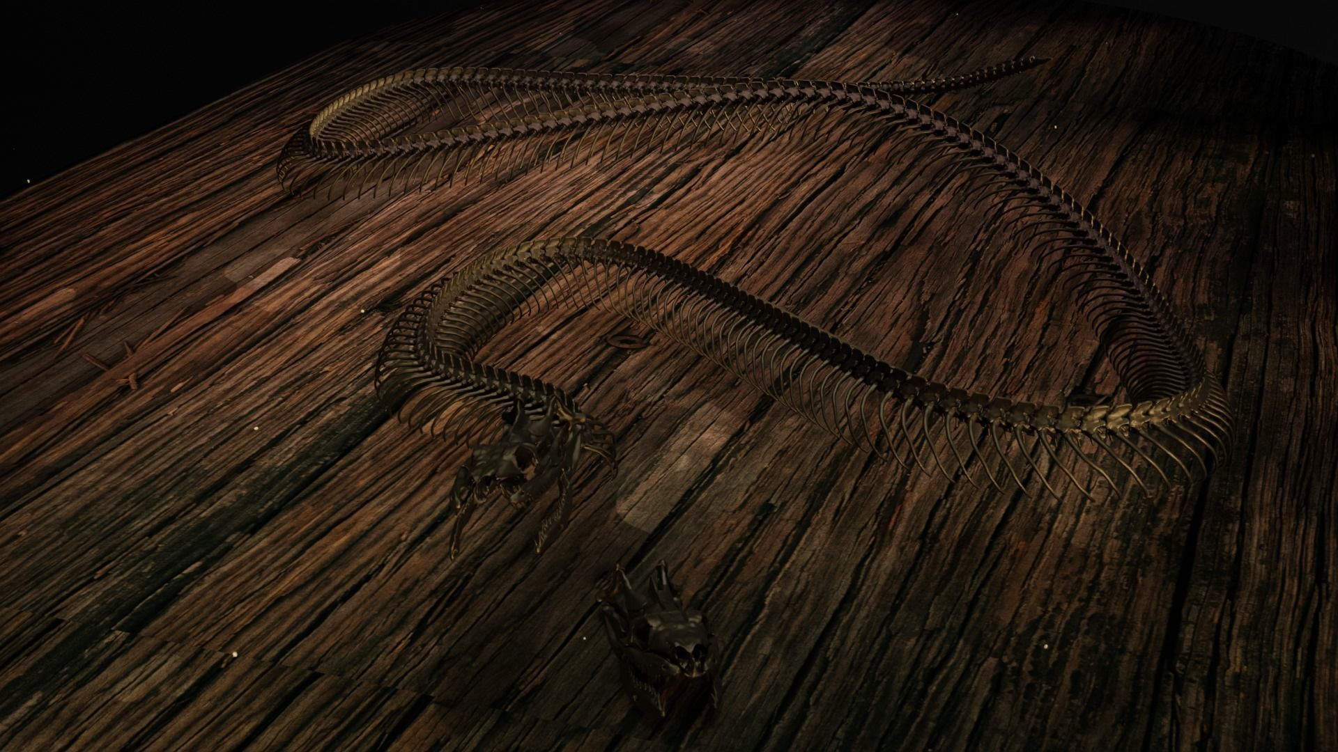 Snake Skeleton Titanoboa 3D print model_2