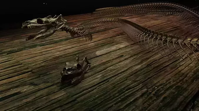 Snake Skeleton Titanoboa 3D print model