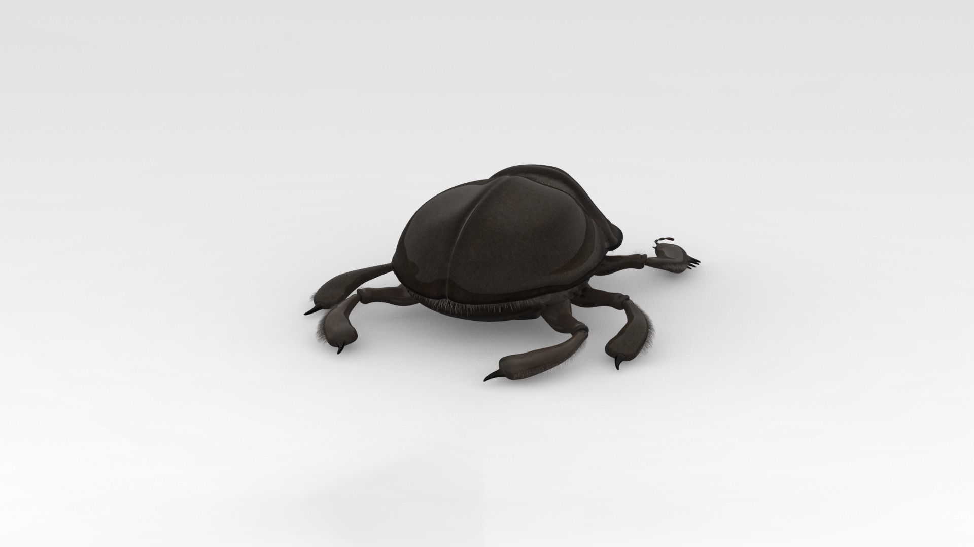Egyptian Scarab 3D model_4