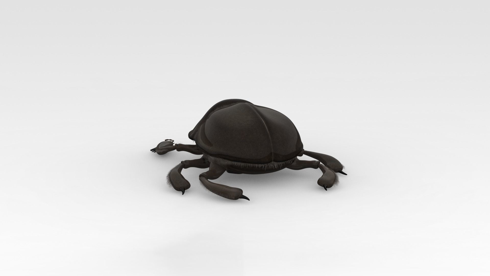 Egyptian Scarab 3D model_3