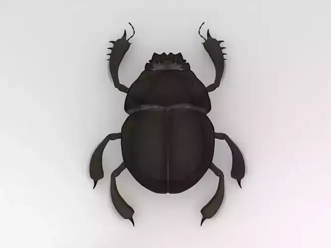 Egyptian Scarab 3D model