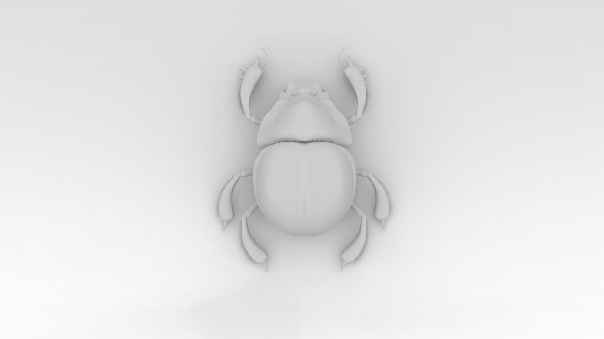 Egyptian Scarab 3D model_8