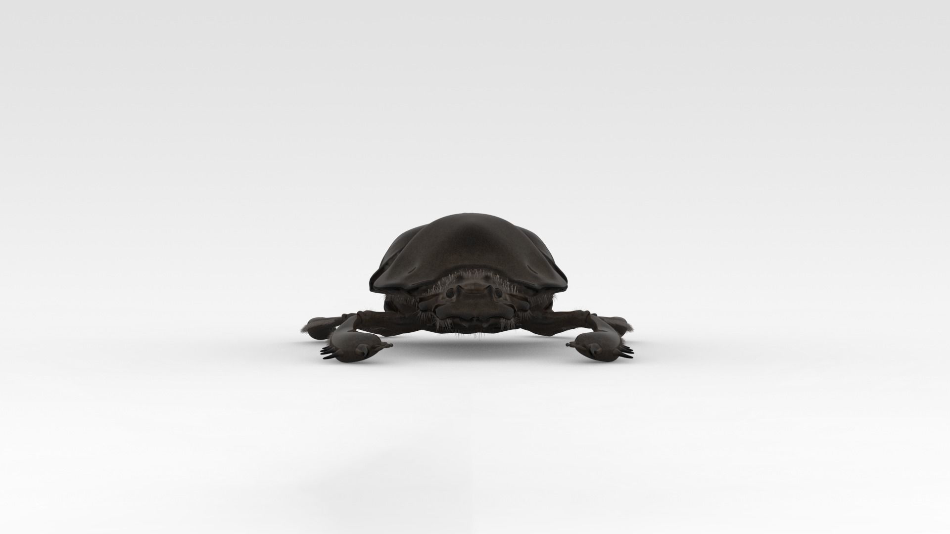 Egyptian Scarab 3D model_2