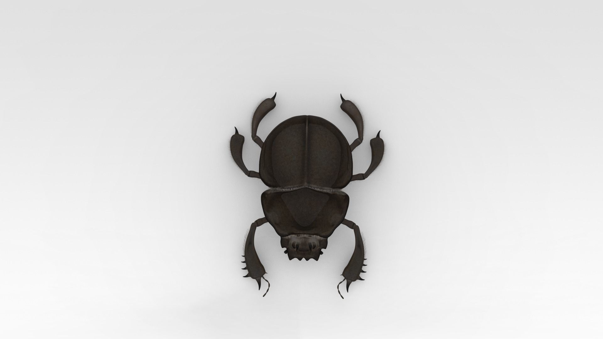 Egyptian Scarab 3D model_7