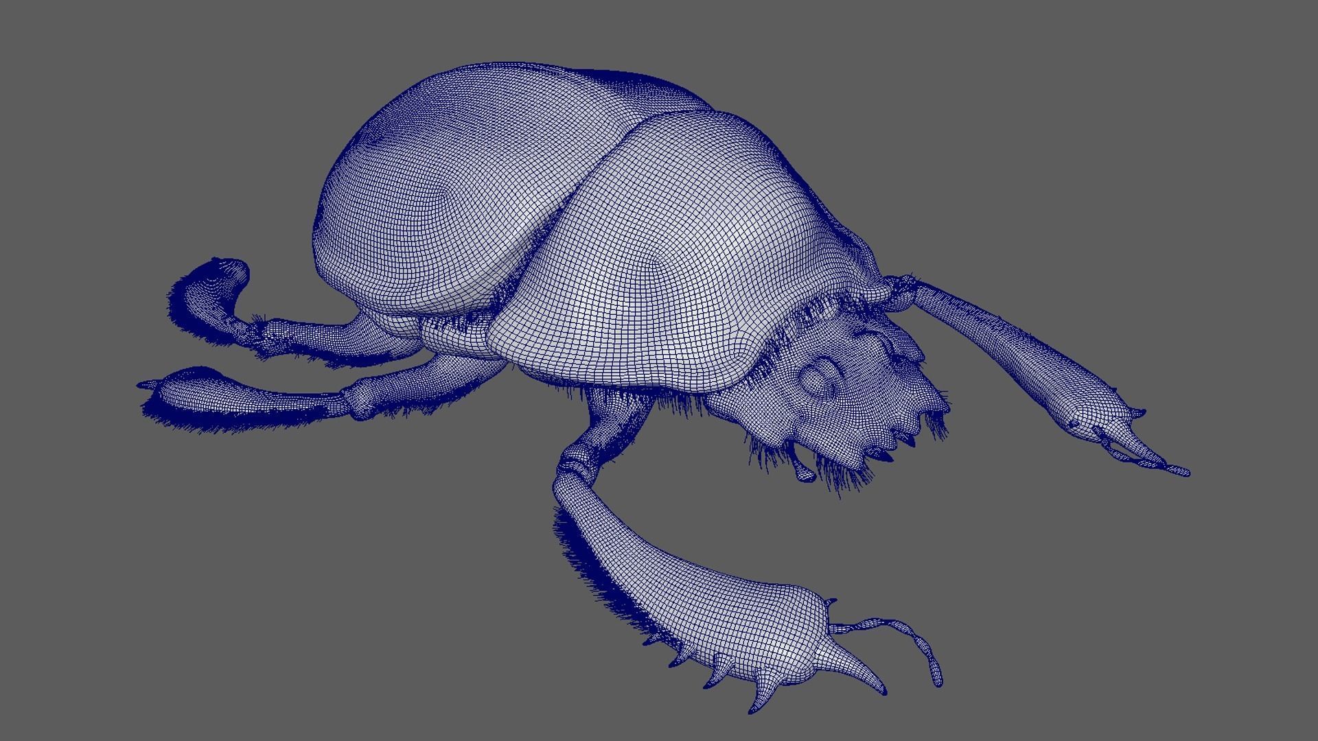 Egyptian Scarab 3D model_9