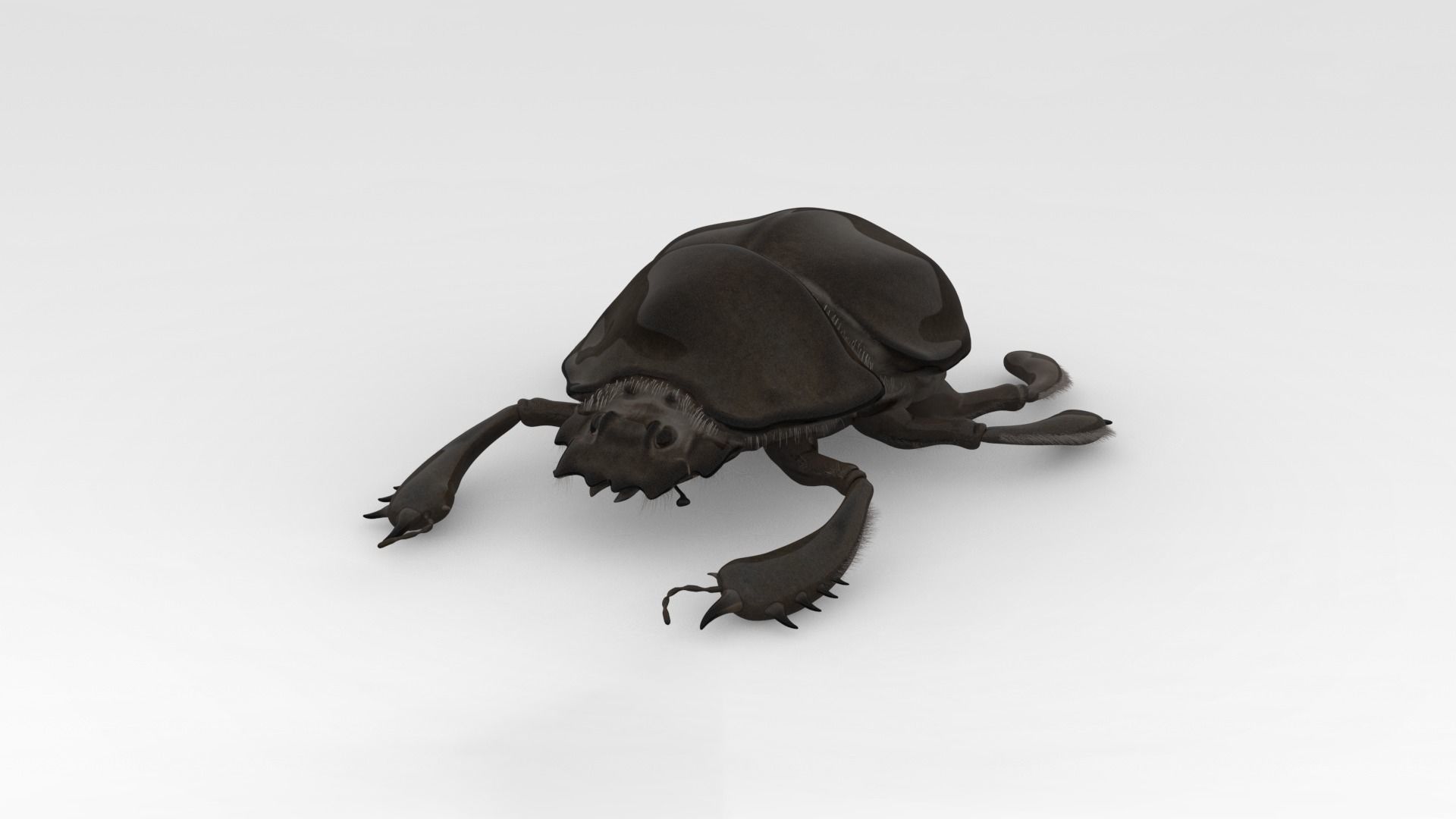 Egyptian Scarab 3D model_1