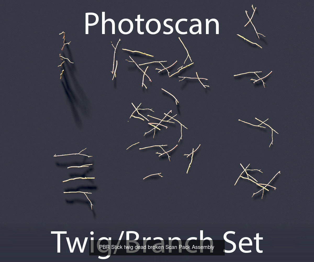 Pine Tree Collection PBR Scan _3