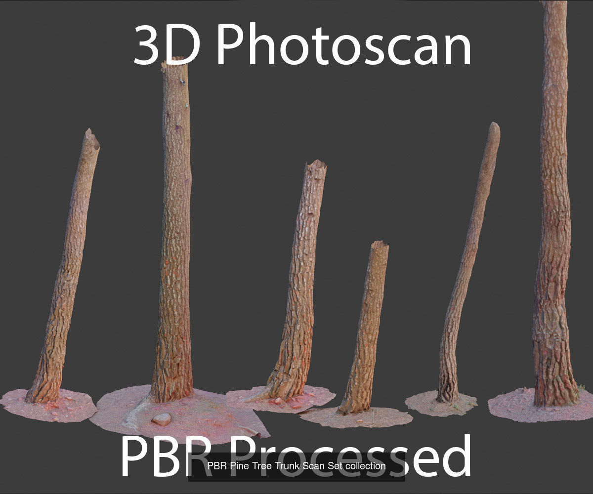Pine Tree Collection PBR Scan _5