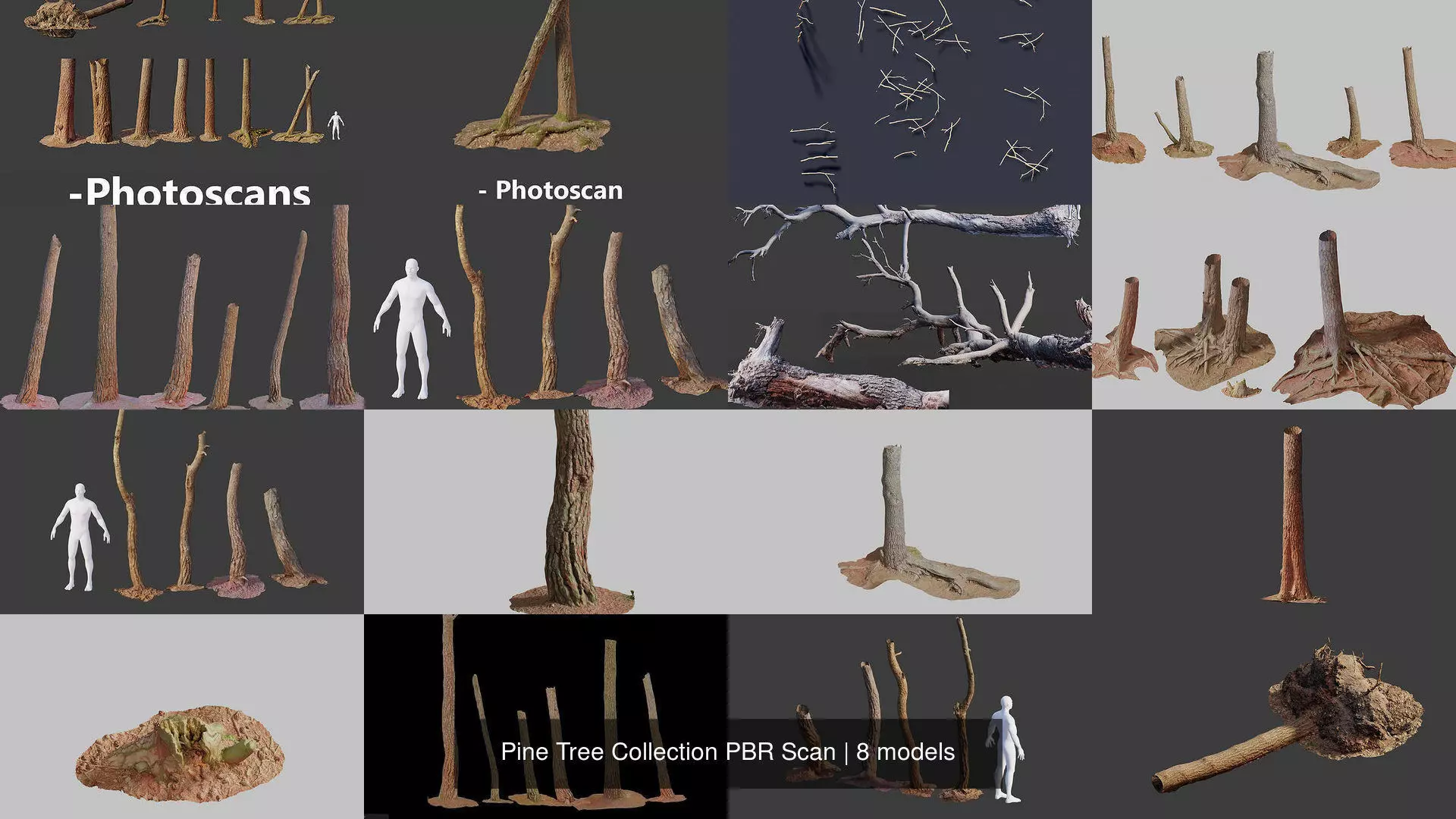 Pine Tree Collection PBR Scan _1