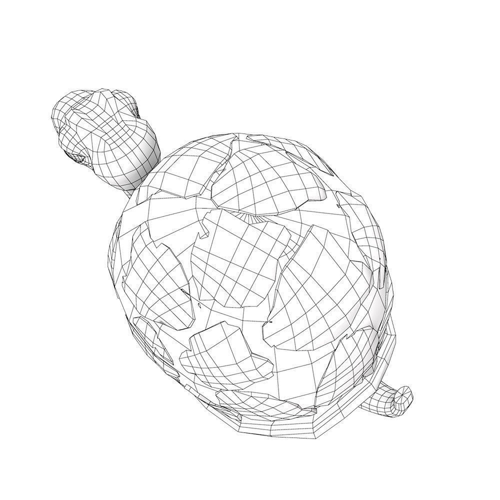 Tortoise 3d model 2 toy turtle 3D model_5