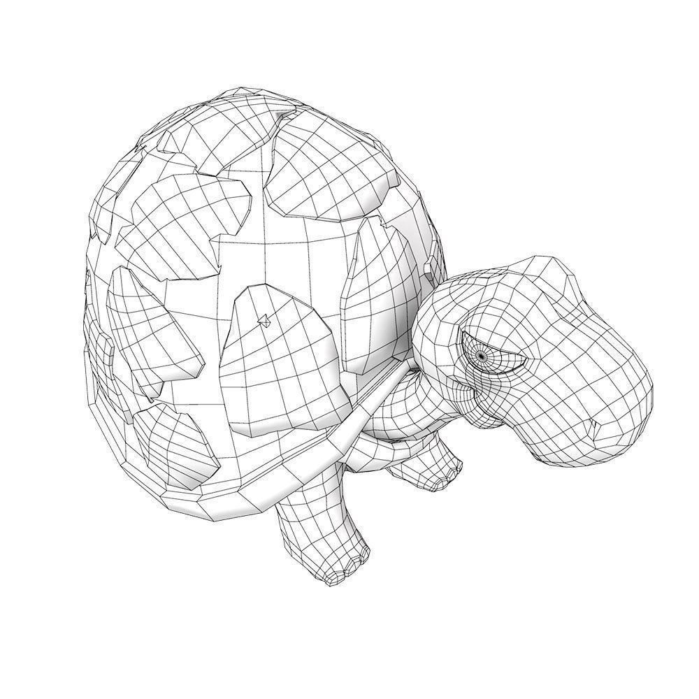 Tortoise 3d model 2 toy turtle 3D model_6