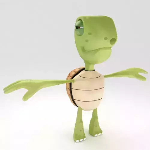 Turtle toon 3d model