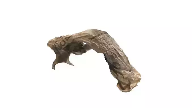 Wastepaper tree branch