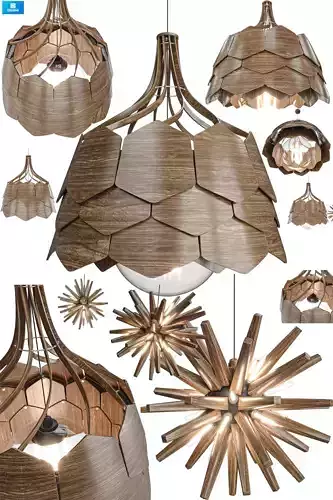 Ceiling Lamp 2 types