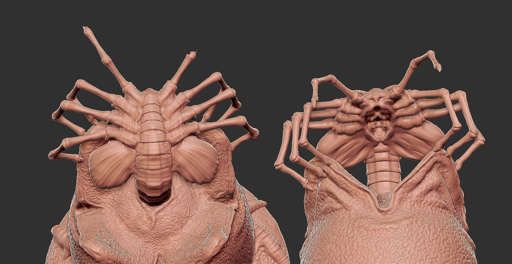 The Facehugger egg 3D print model_4
