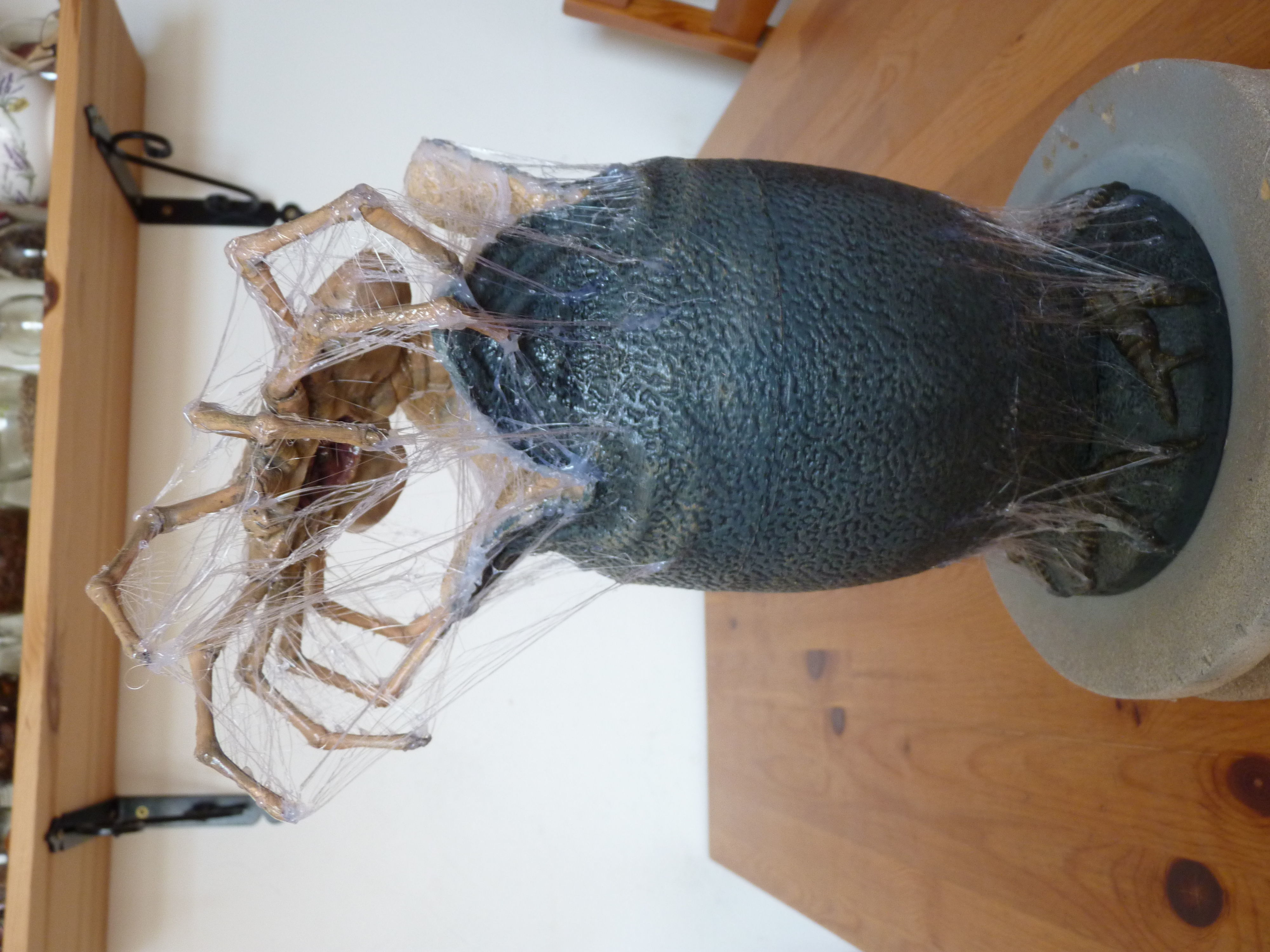 The Facehugger egg 3D print model_6