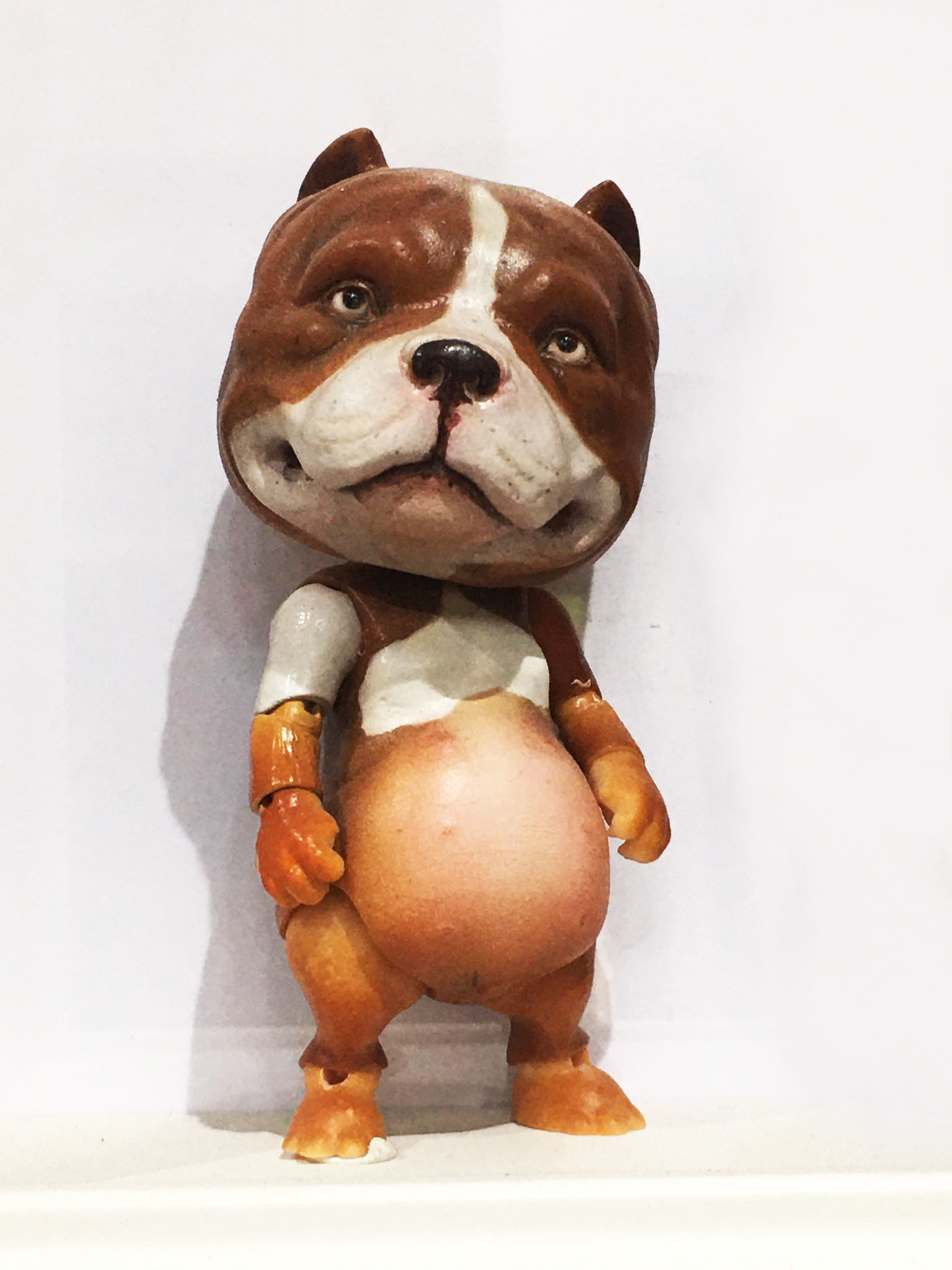 American Bully BJD 3D print model_2