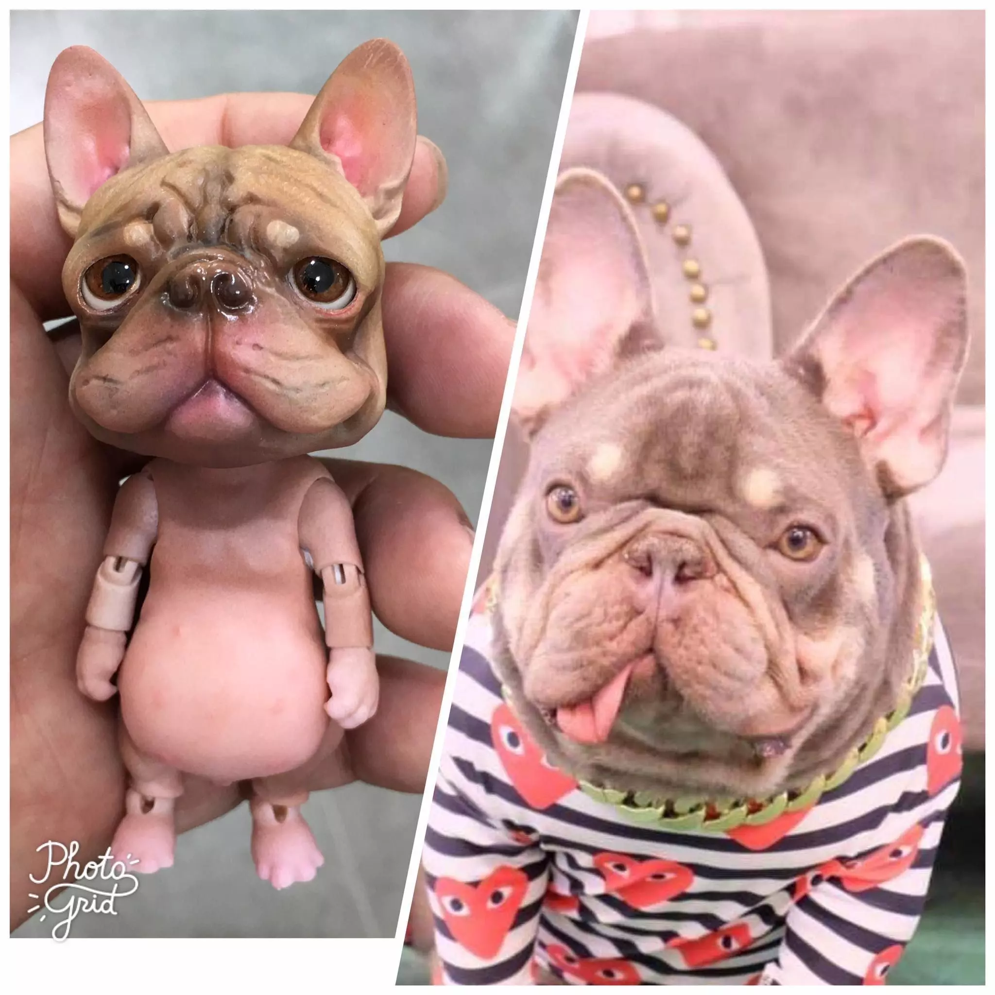 French bulldog BJD 3D print model