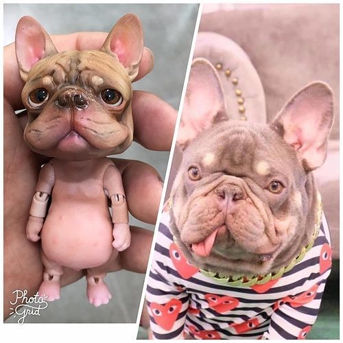 French bulldog BJD 3D print model