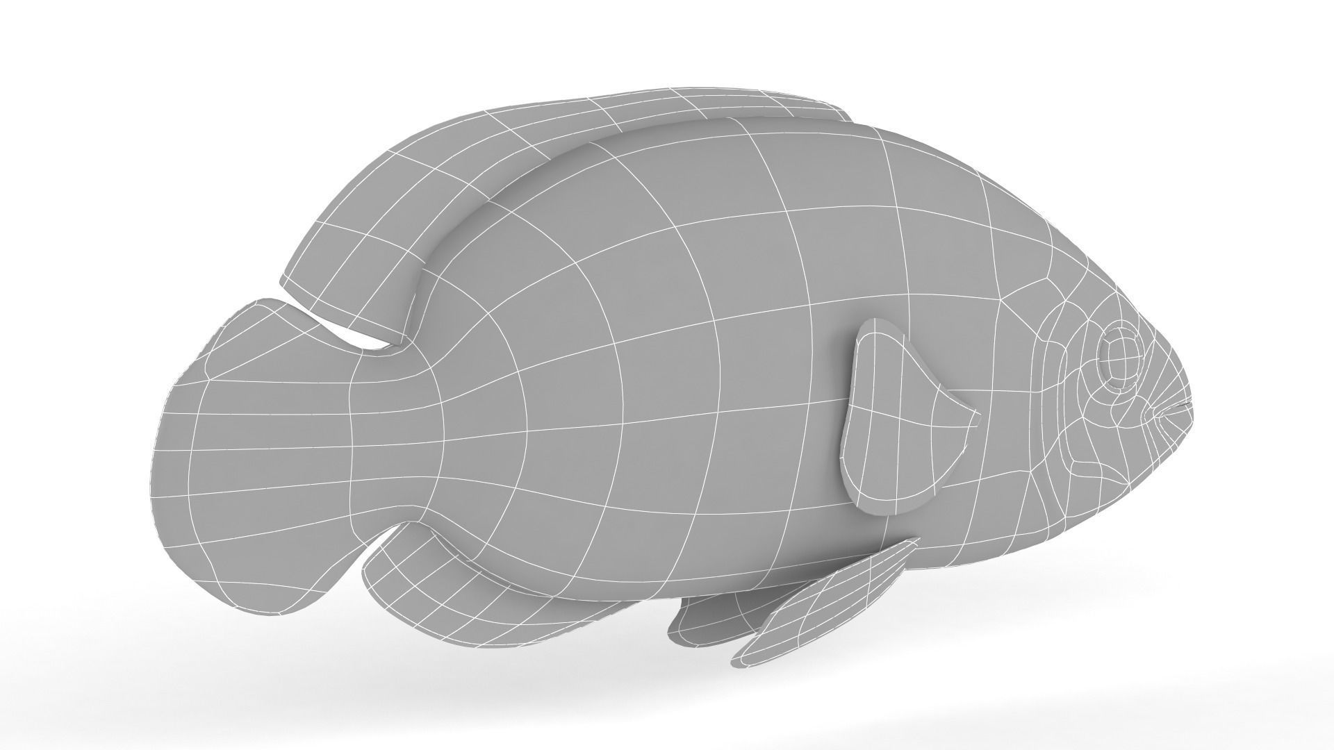 Oscar Fish 3D model_8