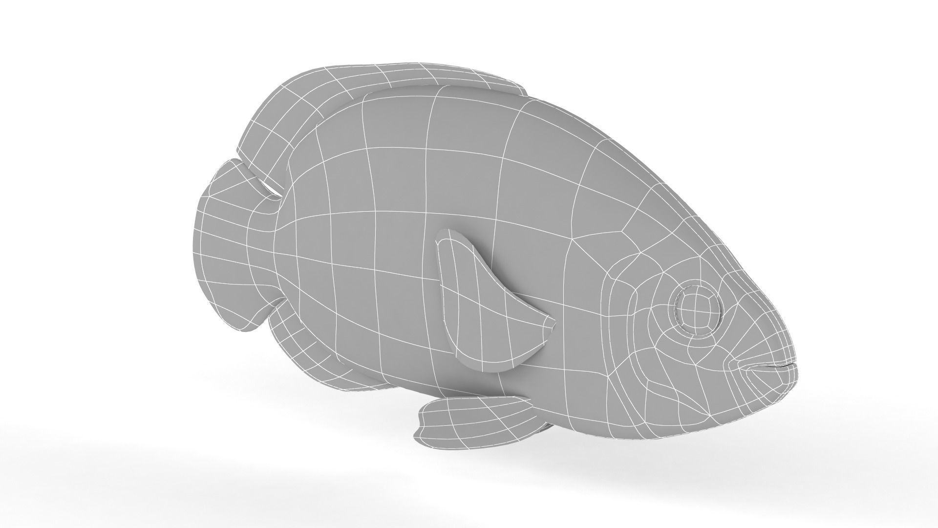 Oscar Fish 3D model_6