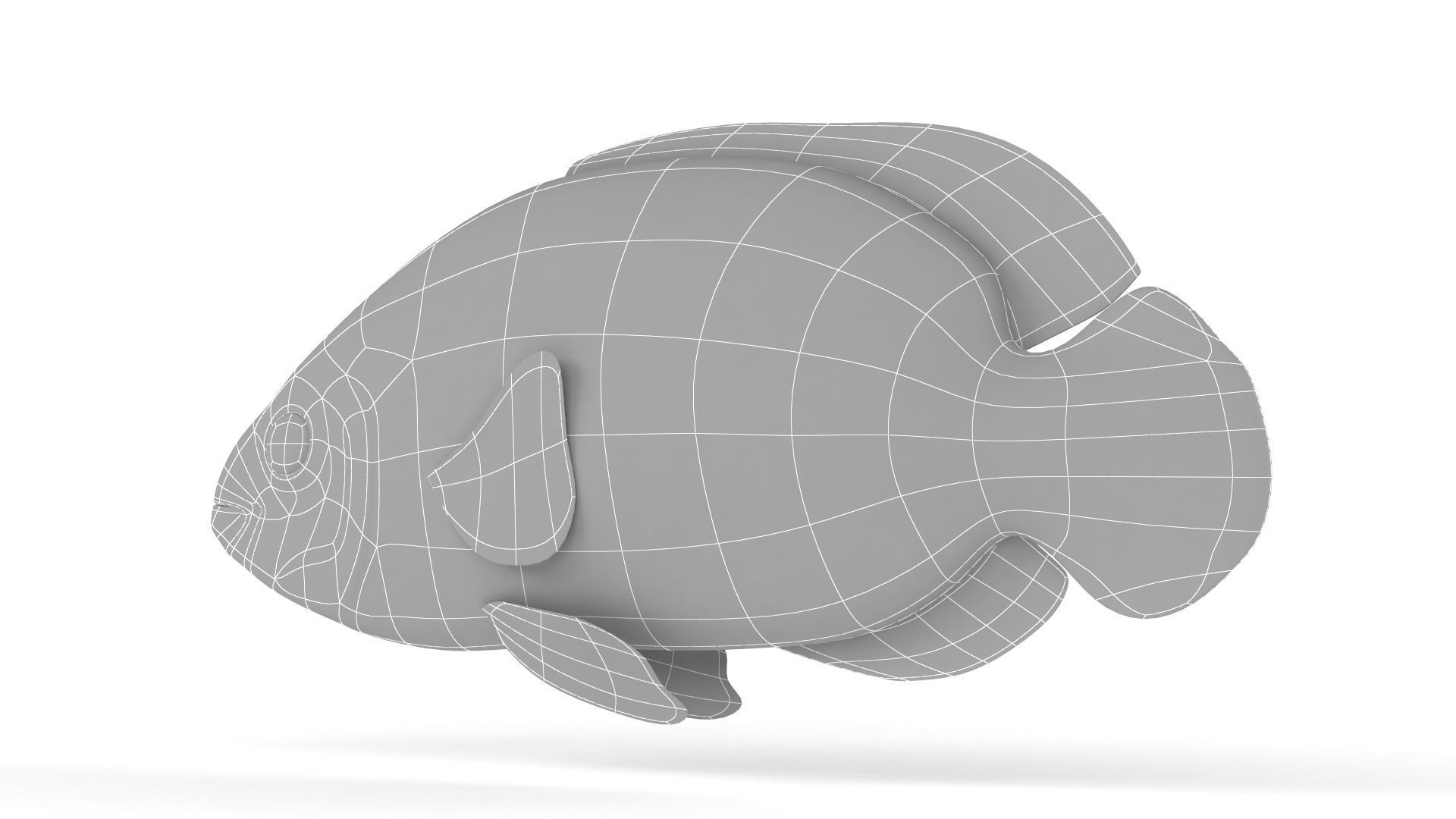 Oscar Fish 3D model_7