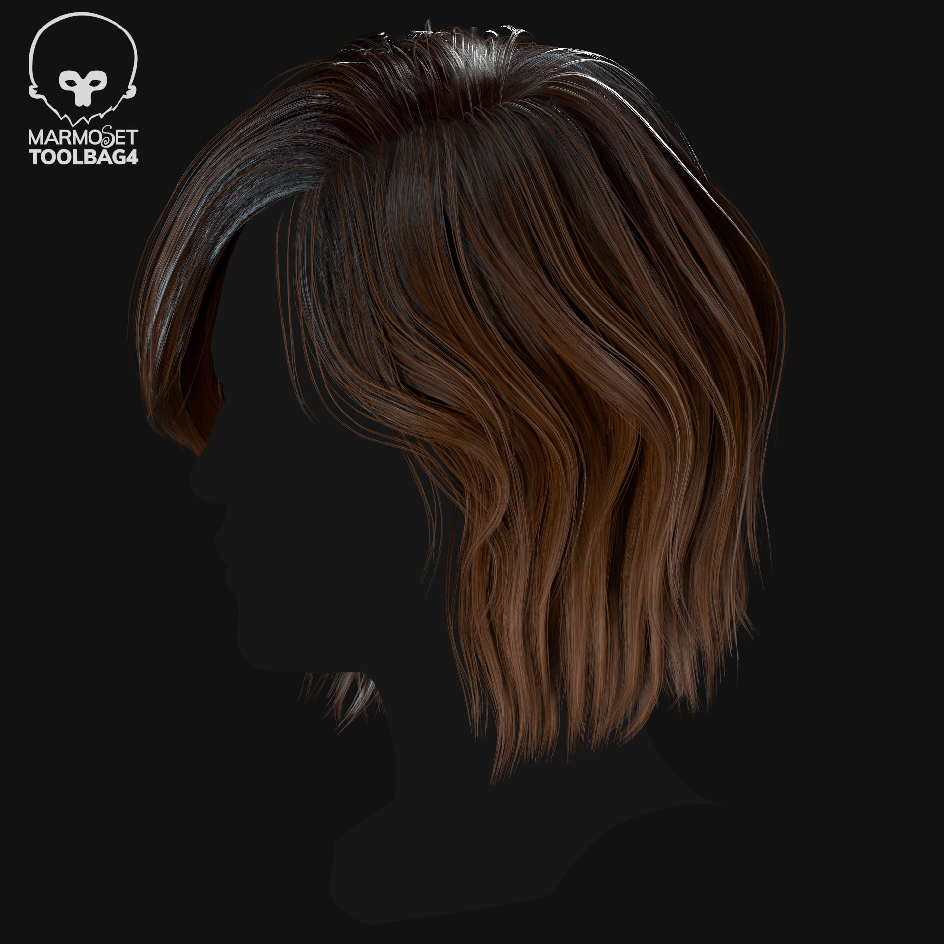 Hairstyle pack x10 pieces Real-Time cards Rigging Skining Low-poly 3D model_34