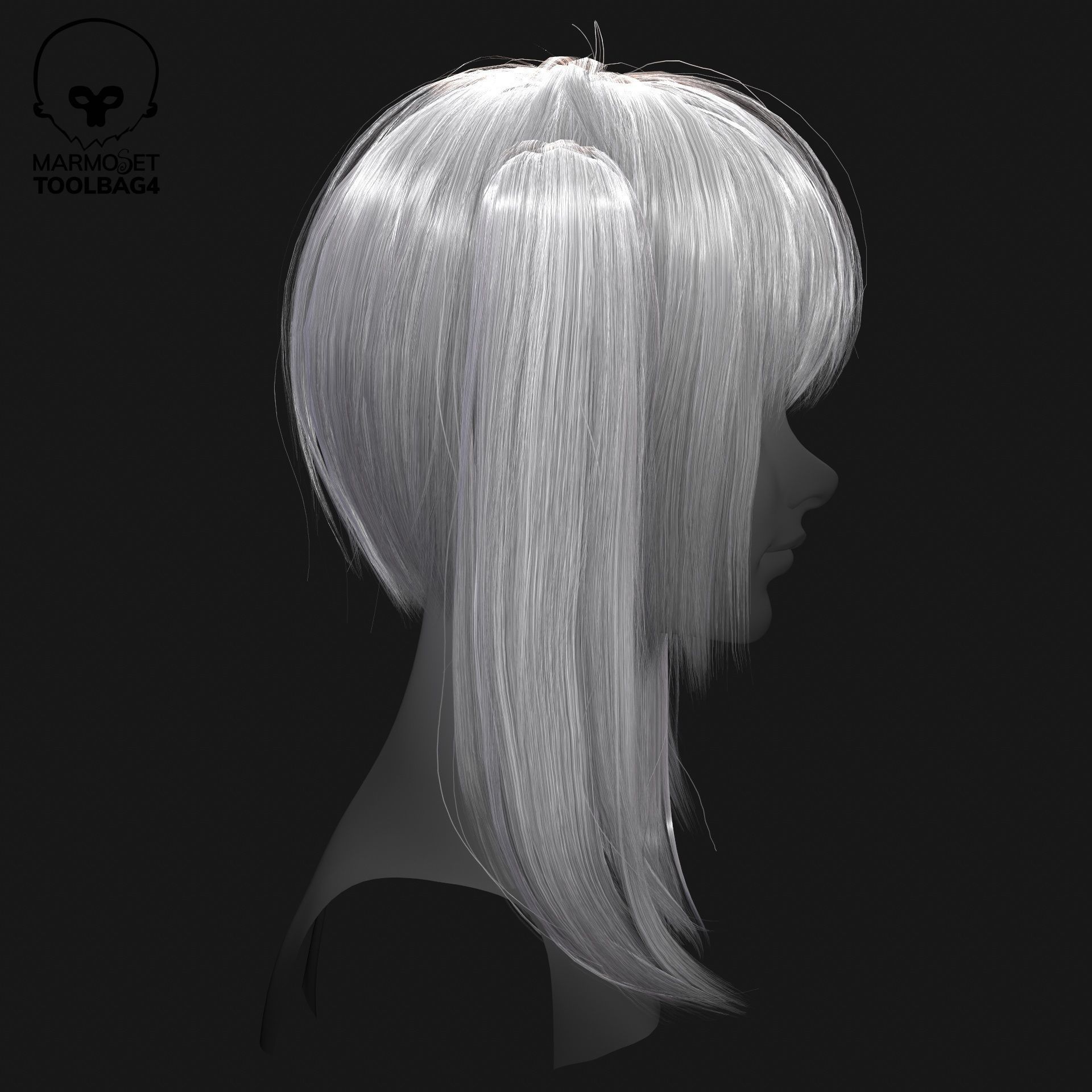 Hairstyle pack x10 pieces Real-Time cards Rigging Skining Low-poly 3D model_25