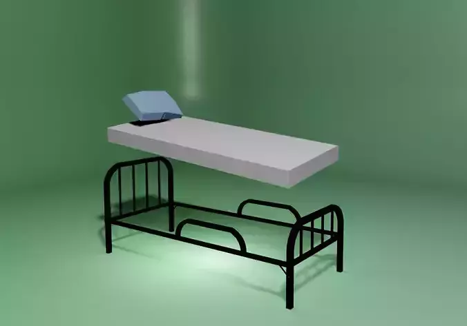 Bed and Bunk 