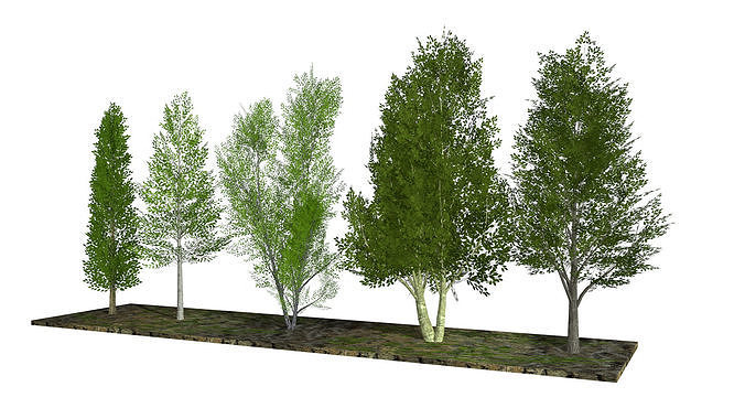 Five low poly trees 2 Low-poly 3D model