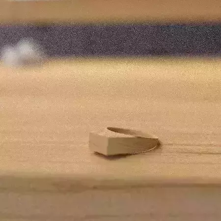 wooden ring 3D model