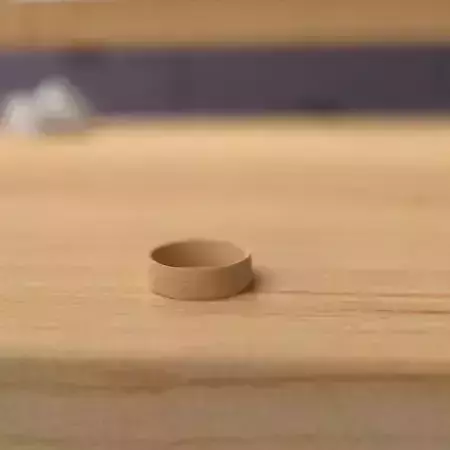 wooden ring 3D model