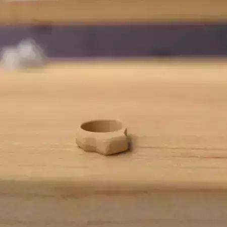 wooden ring 3D model