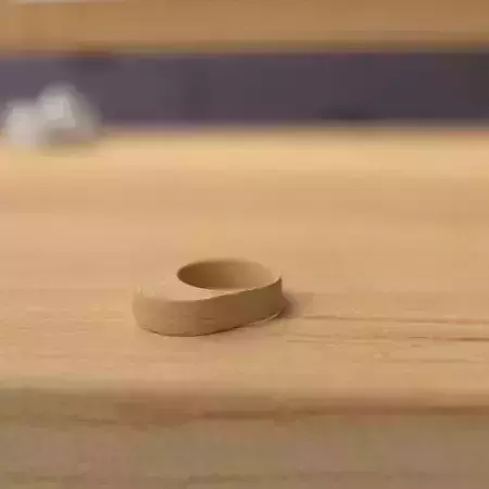 wooden ring 3D model