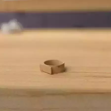 wooden ring 3D model