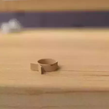 wooden ring 3D model